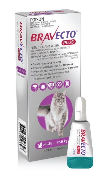 Bravecto for cats